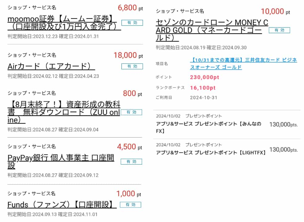 ポイ活で稼いだ実績1（2024年）